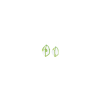 KIWI Plus maskid_20800x600.png